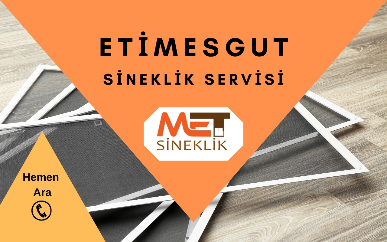 Etimesgut Sineklik